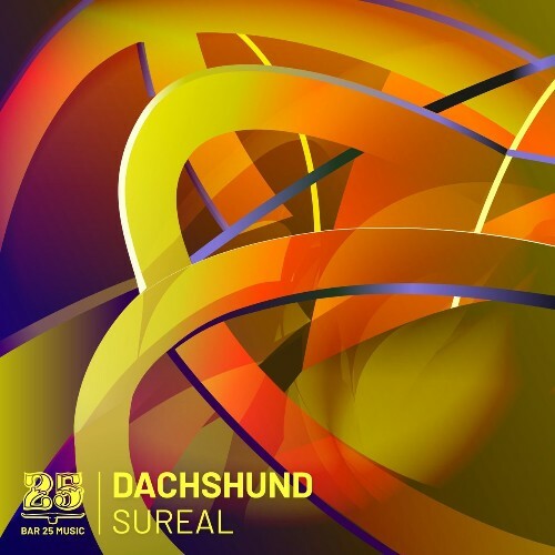 VA - Dachshund - Sureal (2022) (MP3)