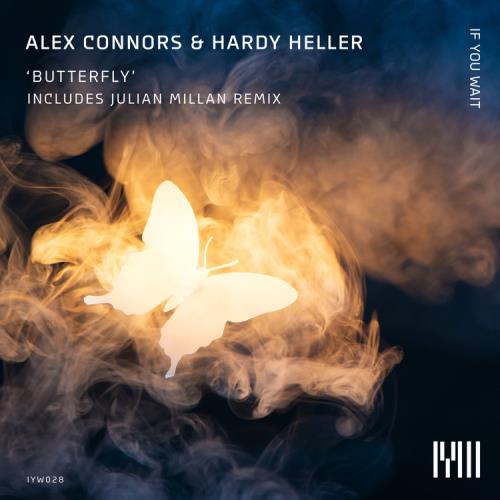 VA - Alex Connors & Hardy Heller - Butterfly (2022) (MP3)