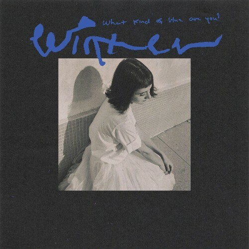VA - Winter - What Kind of Blue Are You? (2022) (MP3)