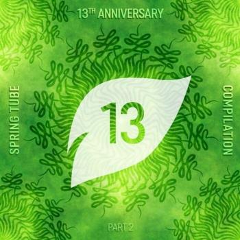 VA - Spring Tube 13th Anniversary Compilation Part 2 (2022) (MP3)