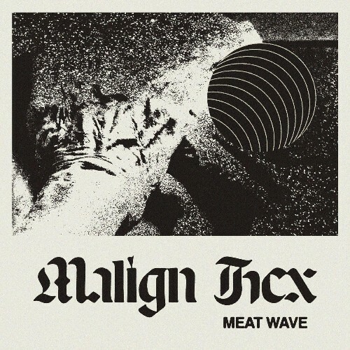 VA - Meat Wave - Malign Hex (2022) (MP3)