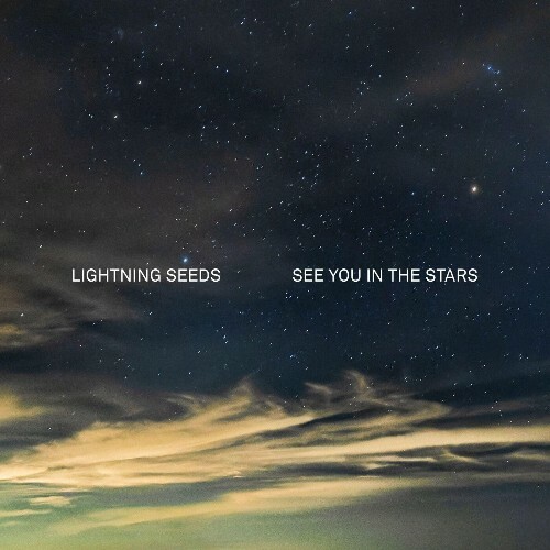 VA - See You in the Stars (2022) (MP3)