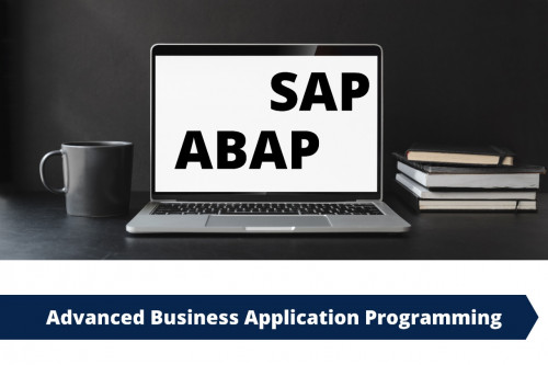 SAP ABAP Cros App Training - RFC, BAPIs, IDOC, ENHANCEMENTS