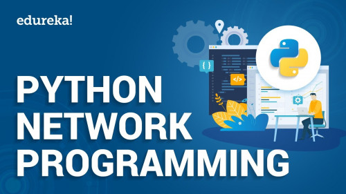 Python Networking Programming