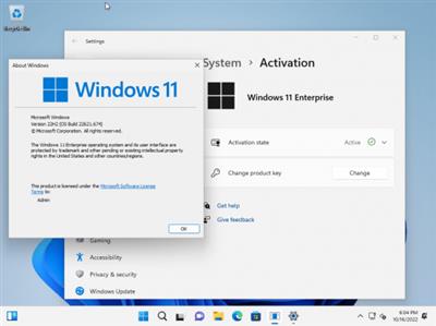 Windows 11 Enterprise 22H2 Build 22621.674 (No TPM Required) With Office 2021 Pro Plus Multilingu...