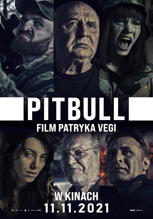 Pitbull (2021) PL.1080p.BluRay.x264-FLAME ~ film polski