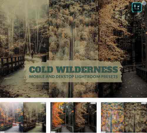 Cold Wilderness Lightroom Presets Dekstop Mobile
