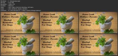 Herbal Remedies For  Dogs 9fd35390c2e1960f3279d1b7de8a7749
