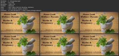 Herbs &  Pregnancy 24063cdbfcce100388f3fe36b7052ea6