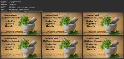 Herbs For Digestive  Health E1414d7487ae69fad9deaa66b4fcaed6