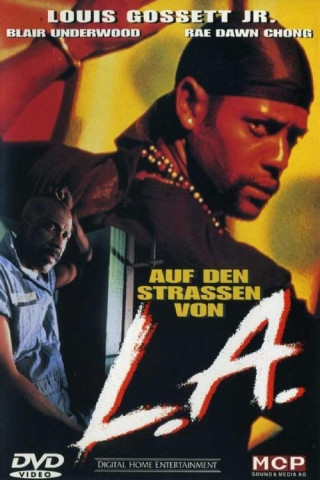 Auf Den Strassen Von L A 1993 German Dl 1080P Bluray Avc-Undertakers