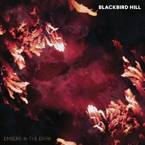 VA - Blackbird Hill - Embers In The Dark (2022) (MP3)