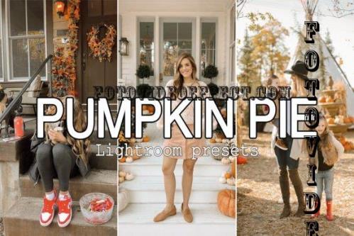 5 Pumpkin Pie Lightroom Presets - 10286441