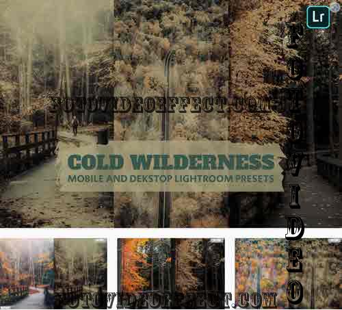 Cold Wilderness Lightroom Presets Dekstop Mobile