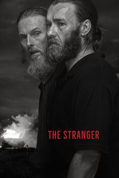 The Stranger (2022) 720p NF WEBRip DD5 1 X 264-EVO