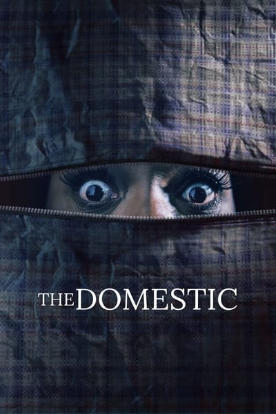 The Domestic (2022) 720p WEBRip x264-GalaxyRG