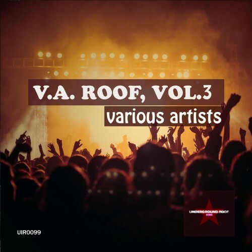 VA - V.a. Roof, Vol. 3 (2022) (MP3)