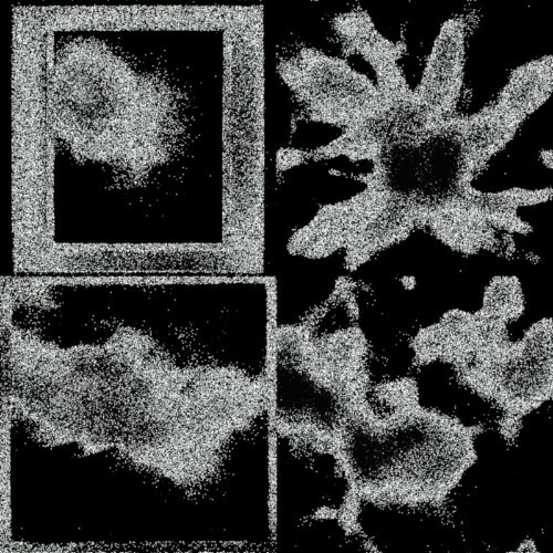 VA - Nouveau Monica - Universal Mind Chaos (2022) (MP3)