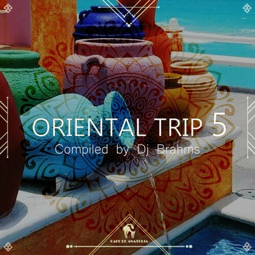 Oriental Trip, Vol. 5 (Compiled by Dj Brahms) (2022)