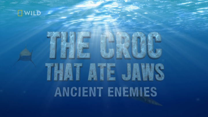 Krokodyl kontra rekin: odwieczni wrogowie / The Croc That Ate Jaws: Ancient Enemies (2021) PL.1080i.HDTV.H264-B89 | POLSKI LEKTOR