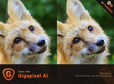 Topaz Gigapixel AI 6.2.2 (x64)