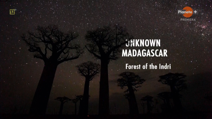 Nieznany Madagaskar / Unknown Madagascar (2020) PL.1080i.HDTV.H264-B89 | POLSKI LEKTOR