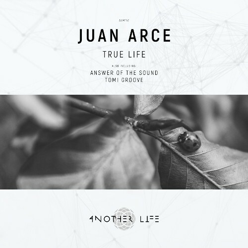 VA | Juan Arce - True Life (2022) MP3