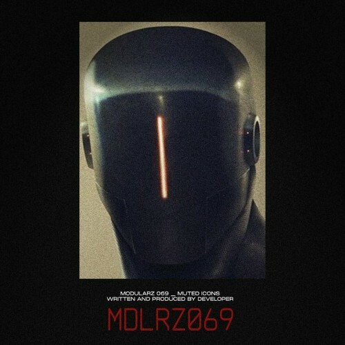 Developer - Muted Icons (2022)