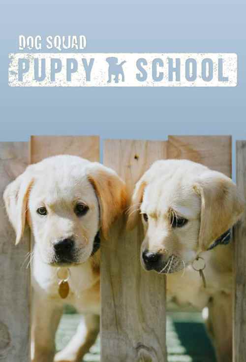 Pies na służbie: szkoła szczeniaków / About Dog Squad Puppy School (2020) PL.1080p.WEB-DL.x264-OzW / Lektor PL