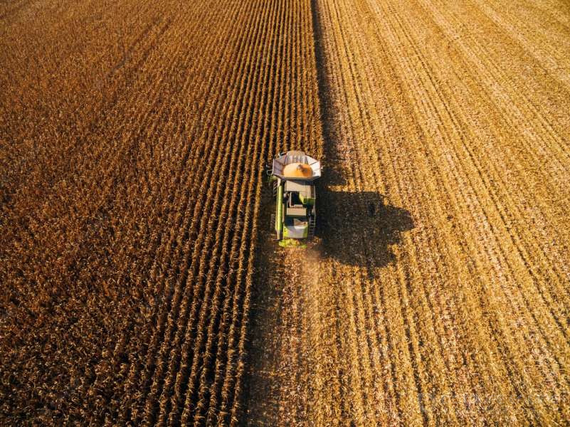 Жнива-2022: українські аграрії намолотили 29 млн тонн зернових