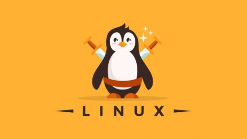 Linux DevOps Course - Level 0 to Level 100