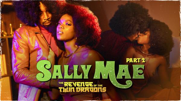 Ana Foxxx - Sally Mae: The Revenge of the Twin Dragons: Part 2 [HD 720p]