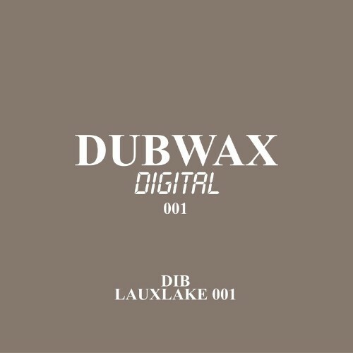 VA - DIB - Lauxlake 001 (2022) (MP3)