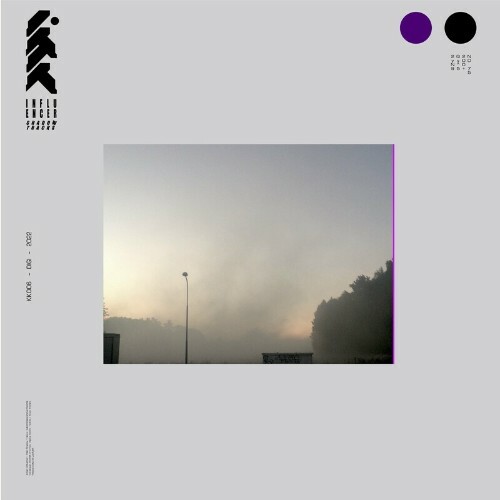 VA - Influencer - Shadow Tracks (2022) (MP3)