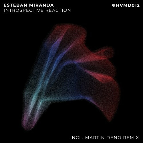 Esteban Miranda - Introspective Reaction (2022)