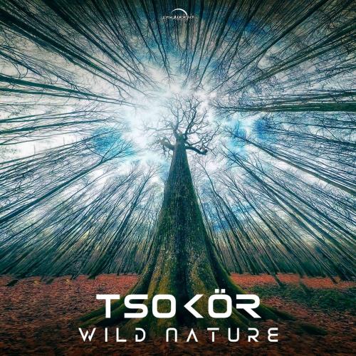 VA | Tsokör - Wild Nature (2022) MP3