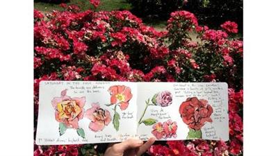 Create A Garden & Nature  Sketchbook