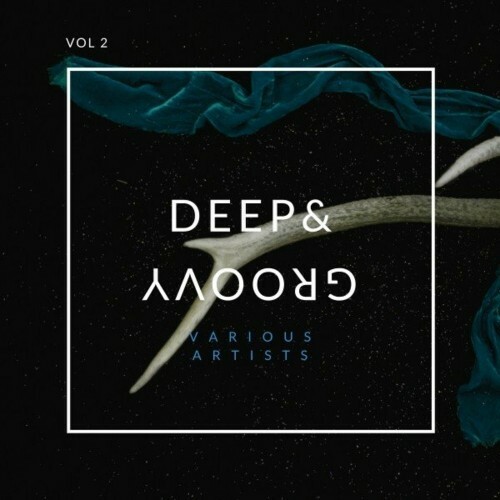 VA - Deep and Groovy, Vol. 2 (2022) (MP3)