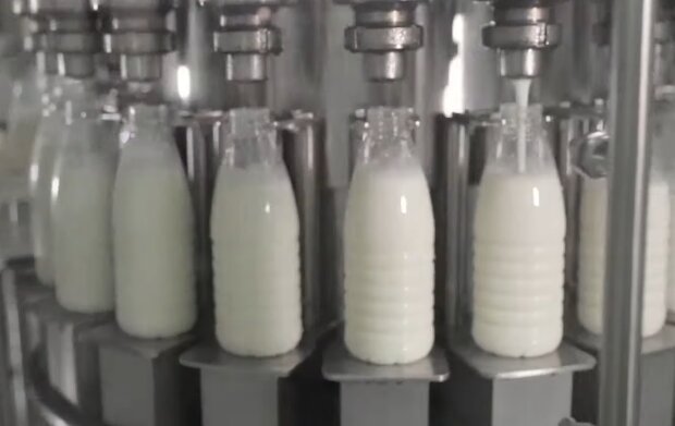 Що буде з цінами на молоко до початку зими в Україні: вигідніше завести свою корівку