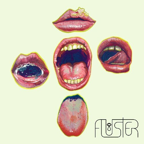 VA - Fluster - Ray Mouth (2022) (MP3)
