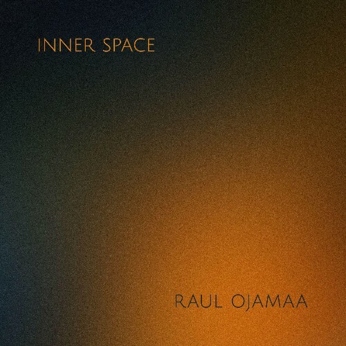 VA - Raul Ojamaa - inner space (2022) (MP3)