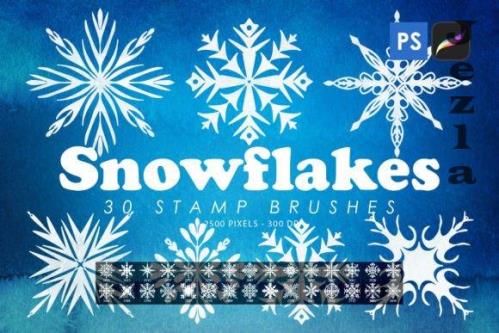 Snowflakes Stamp Brushes