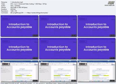 The complete beginners guide to SAP Accounts  Payable 65d6600610abf5afa204fc1ac49ef0d0