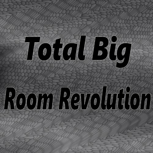VA - Total Big Room Revolution (2022) (MP3)