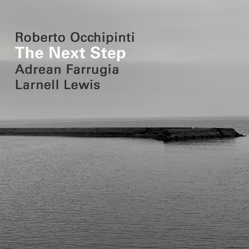 VA - Roberto Occhipinti x Adrean Farrugia x Larnell Lewis - The Next Step (2022) (MP3)