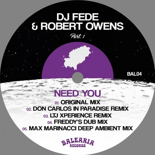 VA - DJ Fede and Robert Owens - Need You (2022) (MP3)