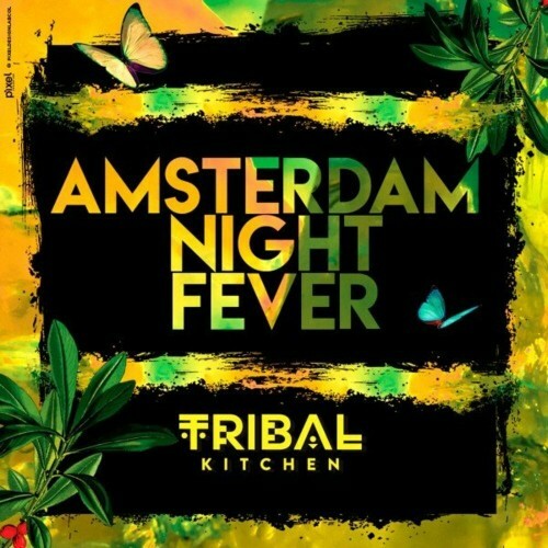 VA - Amsterdam Night Fever (2022) (MP3)