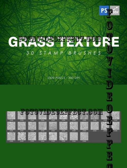 30 Grass Texture Photoshop Stamp Brushes