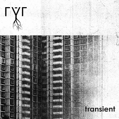 VA - Ryr - Transient (2022) (MP3)