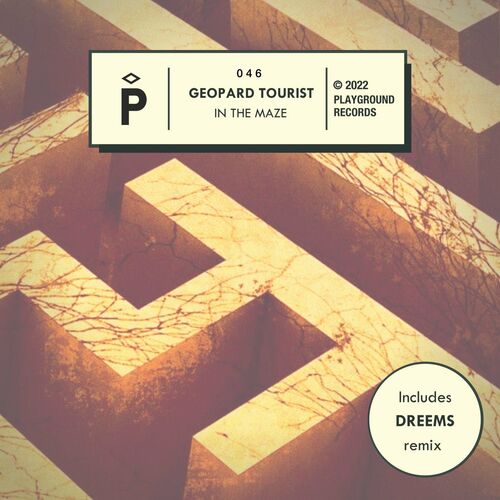 VA - Geopard Tourist - In The Maze (2022) (MP3)